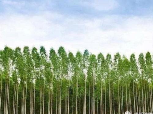 歲印品牌